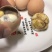 毛鸡蛋.半鸡半蛋.活珠子.照蛋.孵化厂直批，欢迎考查。