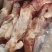 带腱后腿骨，多肉后腿骨，带腱前腿骨，前棒骨
