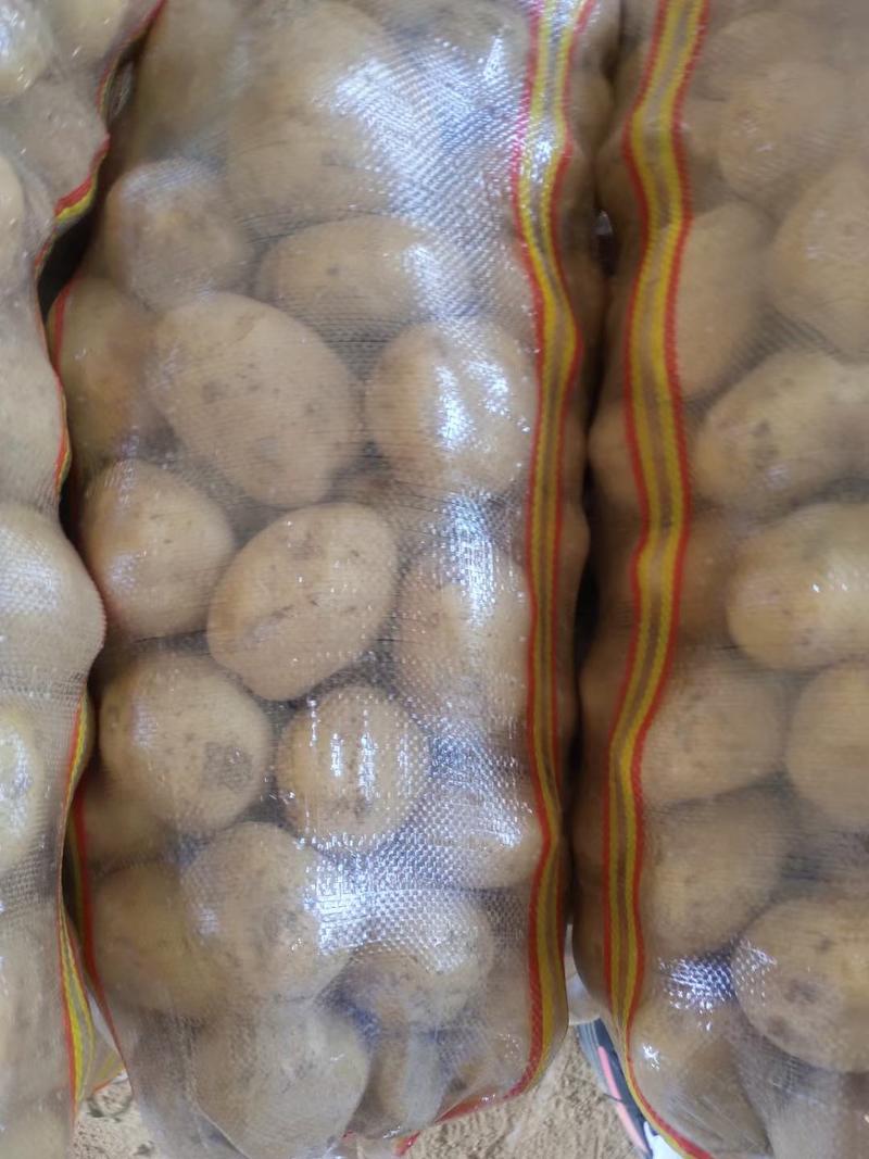 中薯5号黄心土豆，个头大颜色鲜质量好，价格便宜大量有货