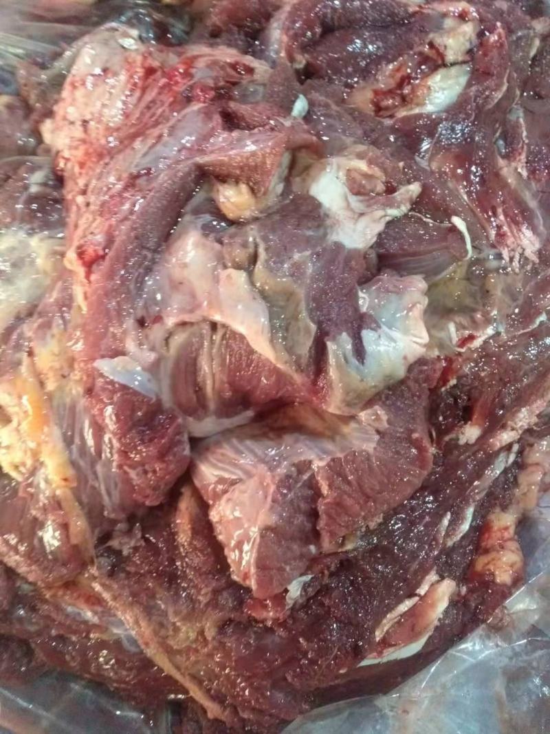 【黄牛肉】锡盟发货支持线上交易现货支持一件样品发货