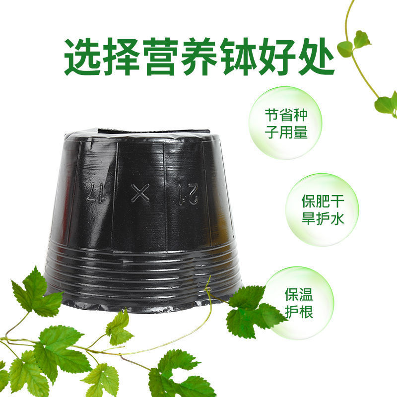 异性营养钵加厚加高塑料育苗杯营养袋营养杯种植育苗盘一次性