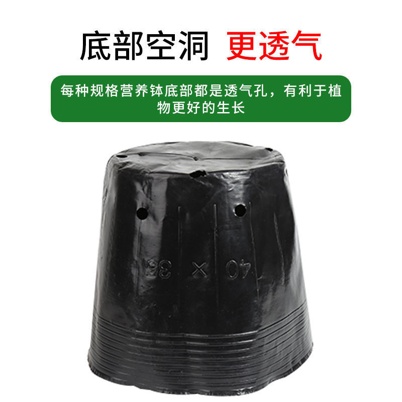 异性营养钵加厚加高塑料育苗杯营养袋营养杯种植育苗盘一次性