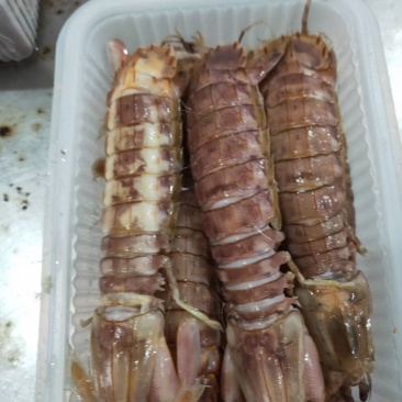 新鲜速煮得皮皮虾，一盒一斤装，公皮皮虾，养海期间，货不多