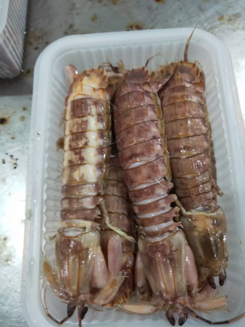 新鲜速煮得皮皮虾，一盒一斤装，公皮皮虾，养海期间，货不多