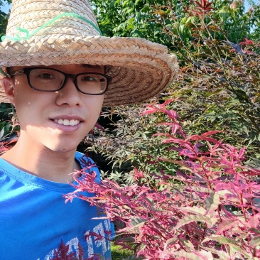 精品红小袖红大袖地苗袋苗各种规格都有欢迎实地看苗下单