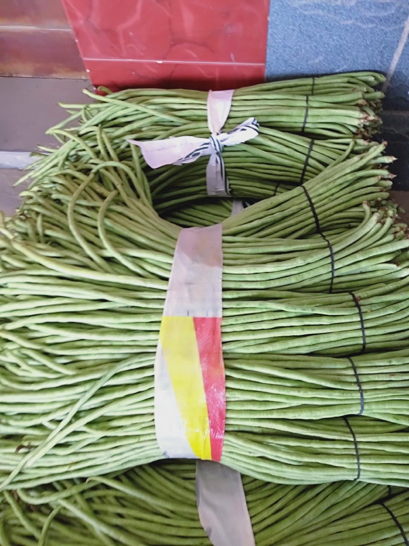 长豆角大量现货绿色好看细条欢迎新朋友来电