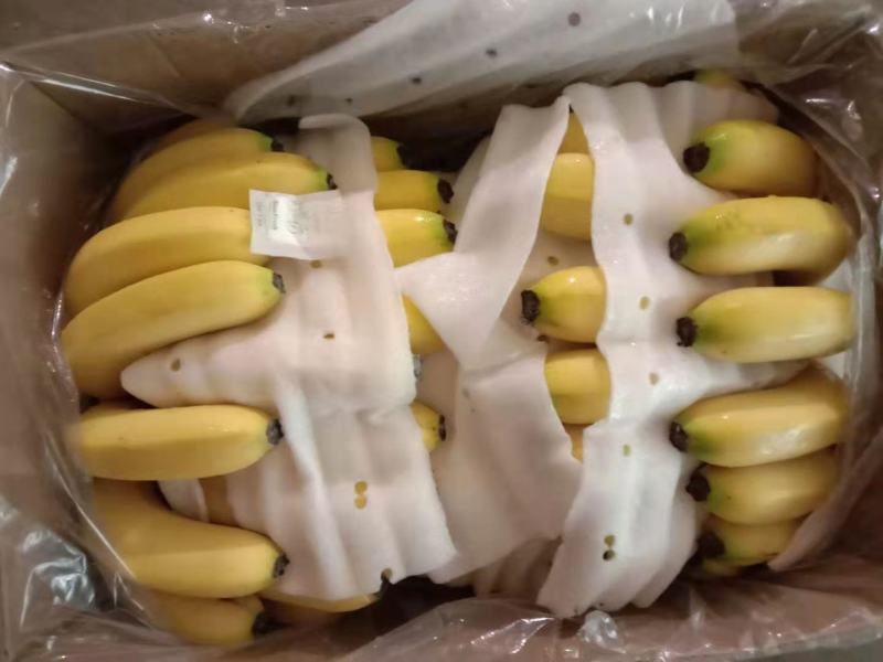 精品特价焦，质量牛逼，有售后无黑心硬心