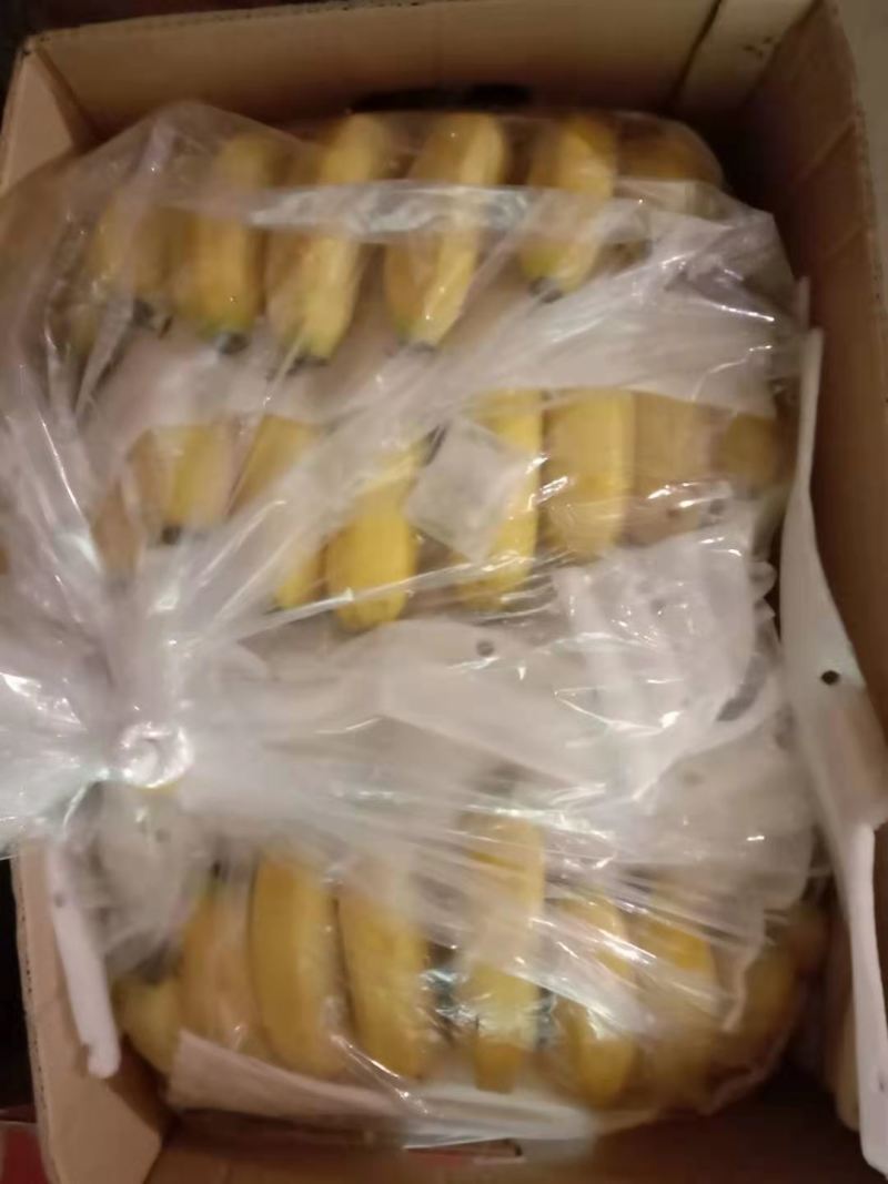 精品特价焦，质量牛逼，有售后无黑心硬心