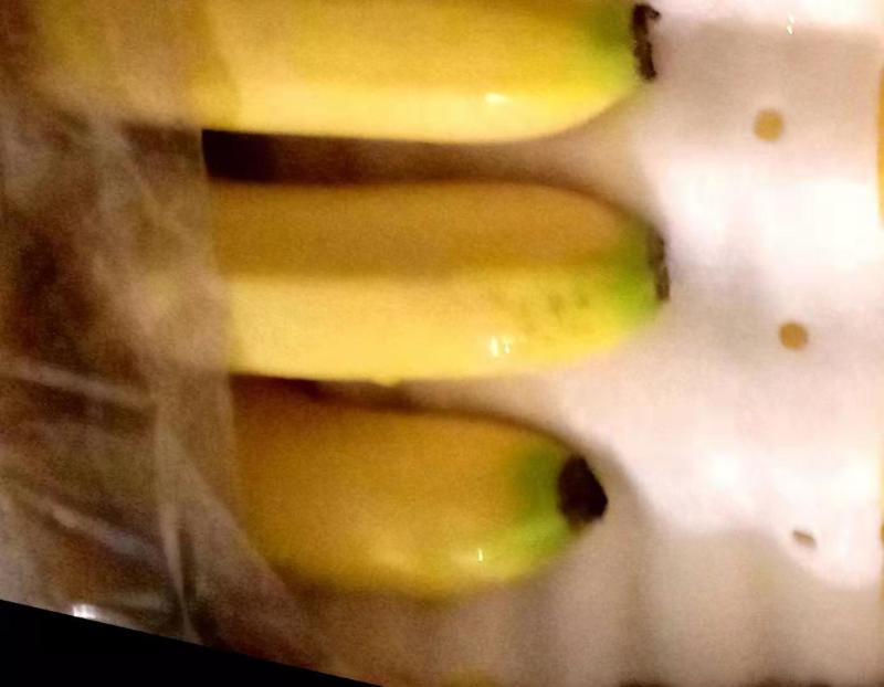 精品特价焦，质量牛逼，有售后无黑心硬心