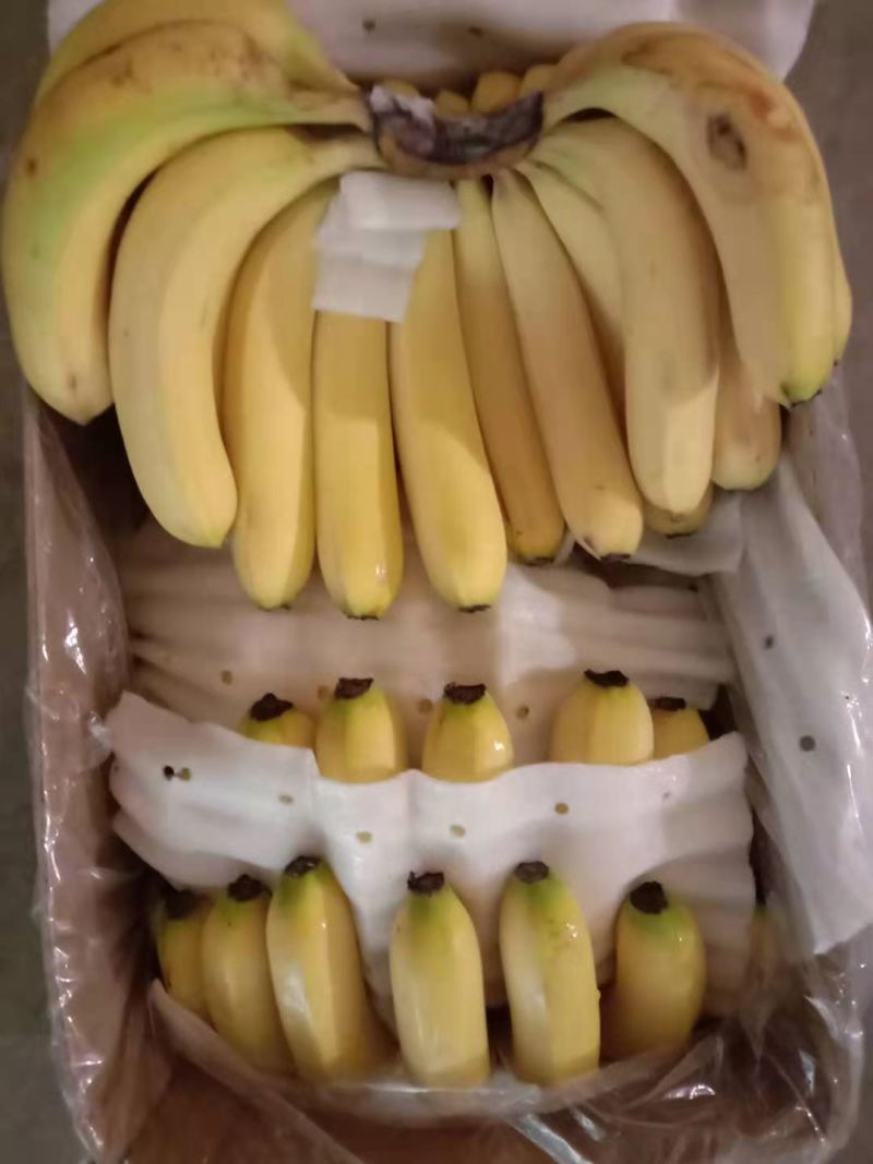 精品特价焦，质量牛逼，有售后无黑心硬心