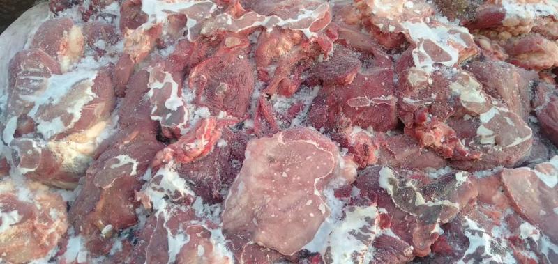 牛碎肉牛肉块冷冻牛碎肉块整货源充足每天现货新鲜直达