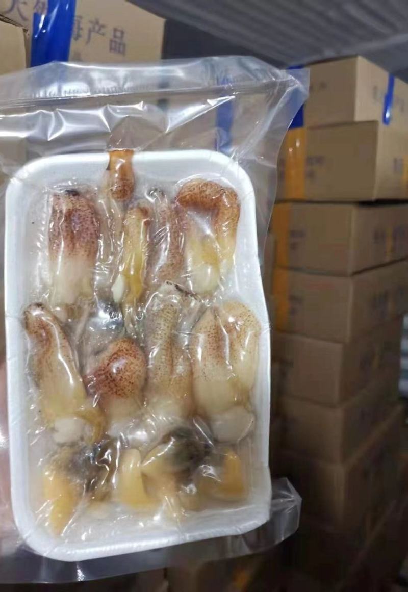 象鼻螺肉