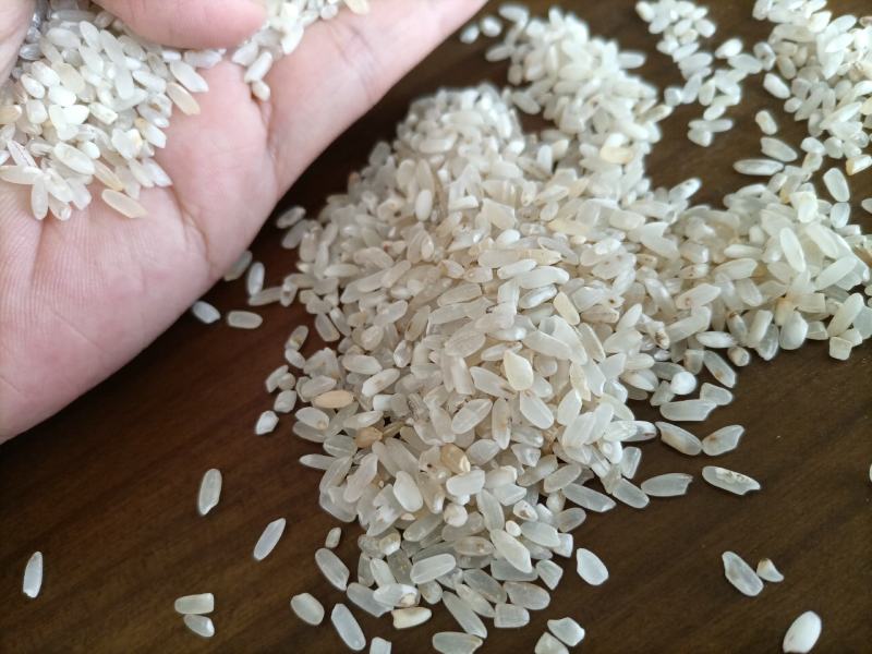 新到饲料米鸡食米白净碎米长粒香鸡米酒米大量现货