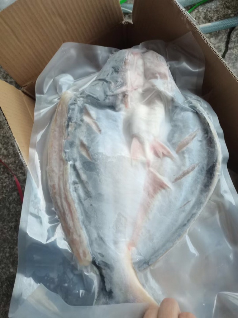 原味开背巴沙鱼10条/件和8条/件，20斤/件，越南进口