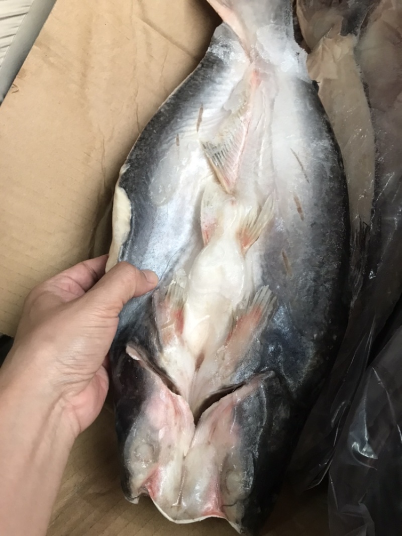 原味开背巴沙鱼10条/件和8条/件，20斤/件，越南进口