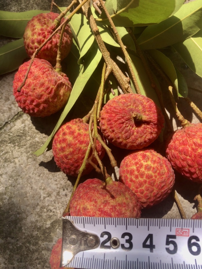 糯米糍荔枝