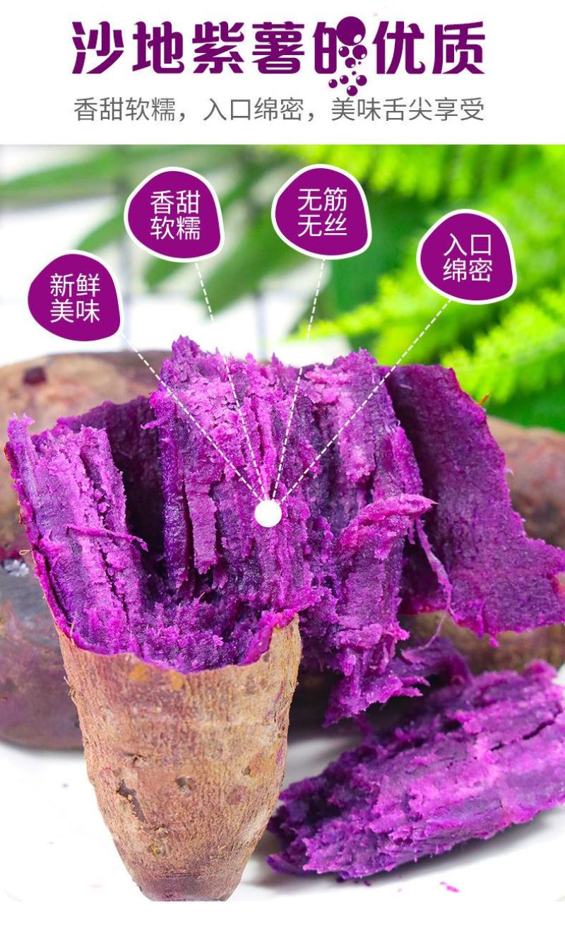 【产地】【香甜粉糯】新鲜沙地紫薯支持一件代发包邮