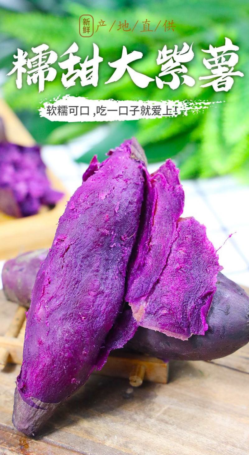 【产地】【香甜粉糯】新鲜沙地紫薯支持一件代发包邮