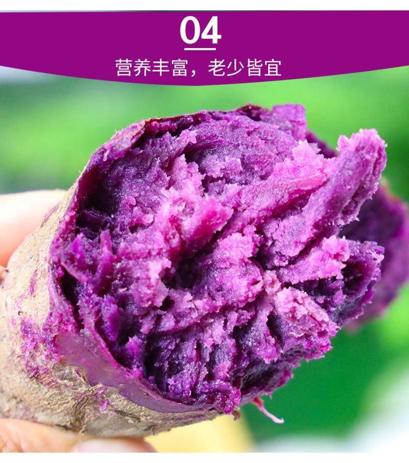 【产地】【香甜粉糯】新鲜沙地紫薯支持一件代发包邮