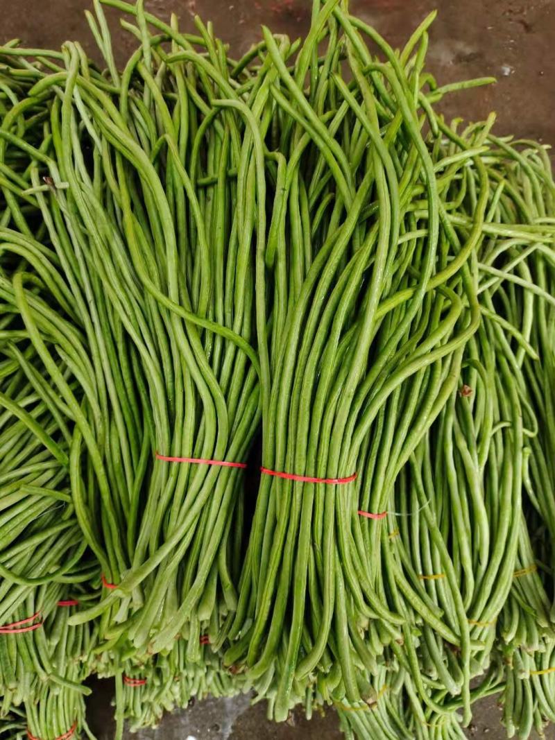 长豇豆，质量高货源广60----70长度，产地直供：现货