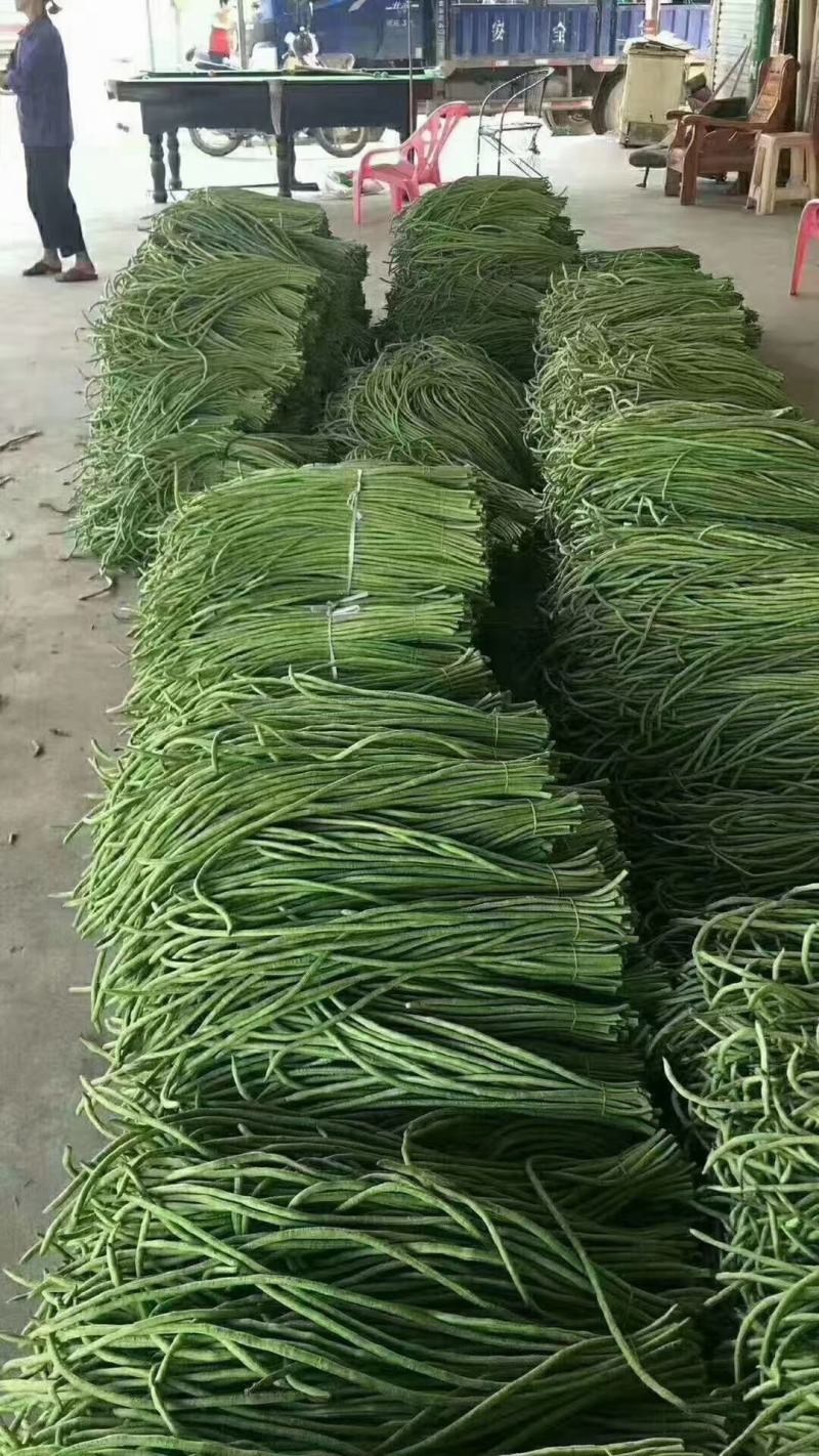 长豇豆，质量高货源广60----70长度，产地直供：现货