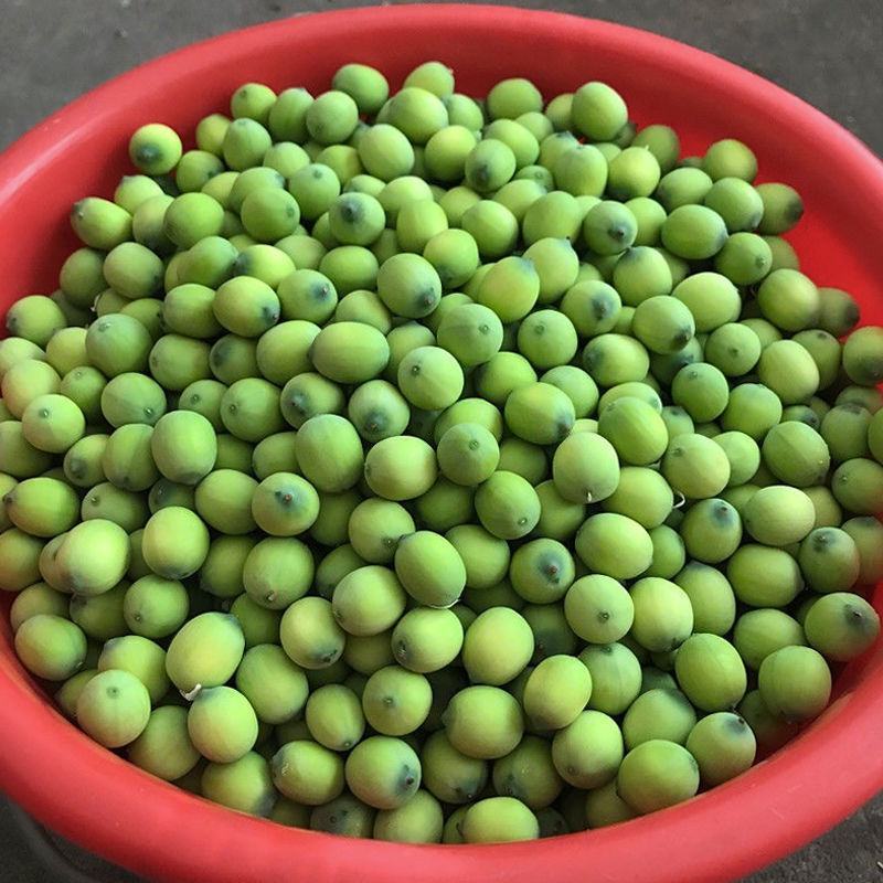 新鲜莲蓬，莲子，荷花，产地直发，可一件代发。