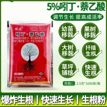5%吲丁·萘乙酸植物促根生长移栽壮苗花卉苗木扦插育苗生根