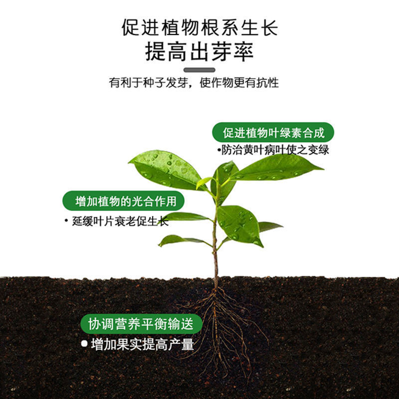 5%吲丁·萘乙酸植物促根生长移栽壮苗花卉苗木扦插育苗生根