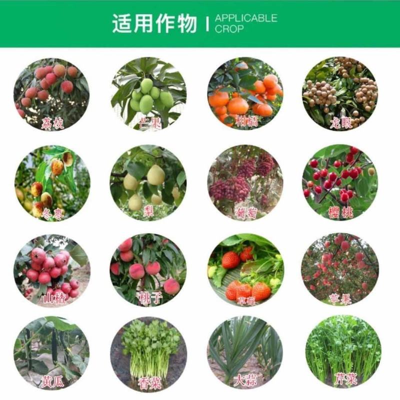 5%吲丁·萘乙酸植物促根生长移栽壮苗花卉苗木扦插育苗生根