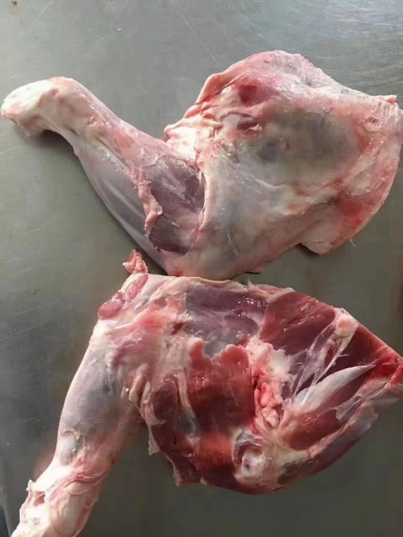 热销羔羊前腿各种规格纯干纯瘦可全国发货基地直发一手货源