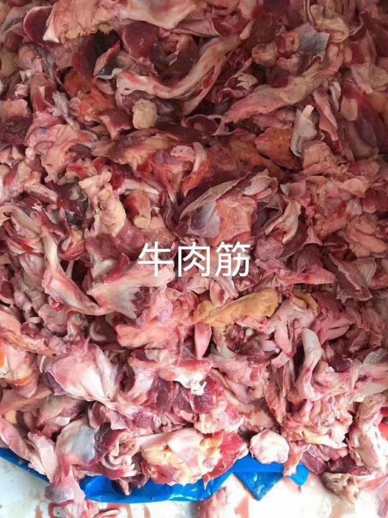 大家好我是河北省河间市伊彬牛羊副产品，我这图片是纯牛肉筋