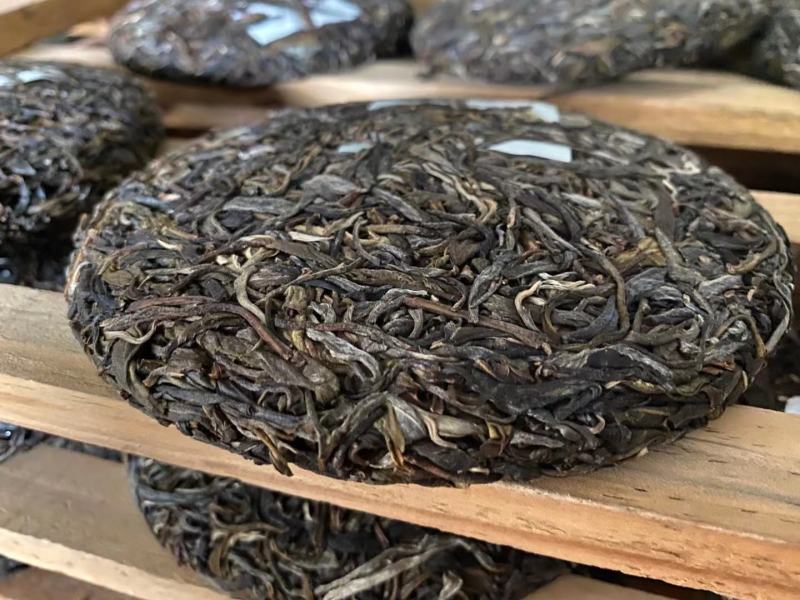 云南临沧勐库镇，那蕉村古树藤条茶