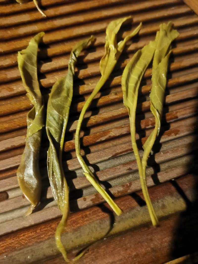 云南临沧勐库镇，那蕉村古树藤条茶