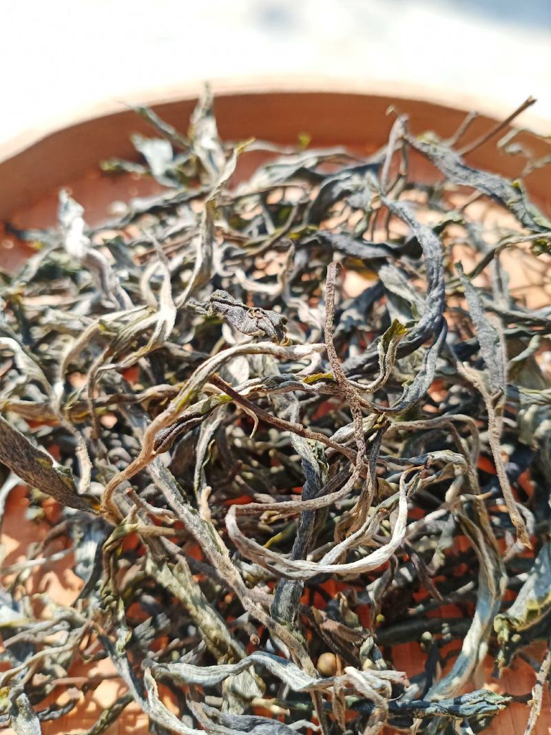 云南临沧勐库镇，那蕉村古树藤条茶