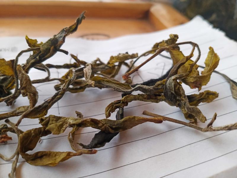 云南临沧勐库镇，那蕉村古树藤条茶
