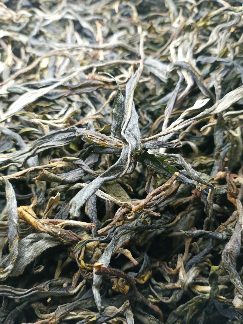 云南临沧勐库镇，那蕉村古树藤条茶