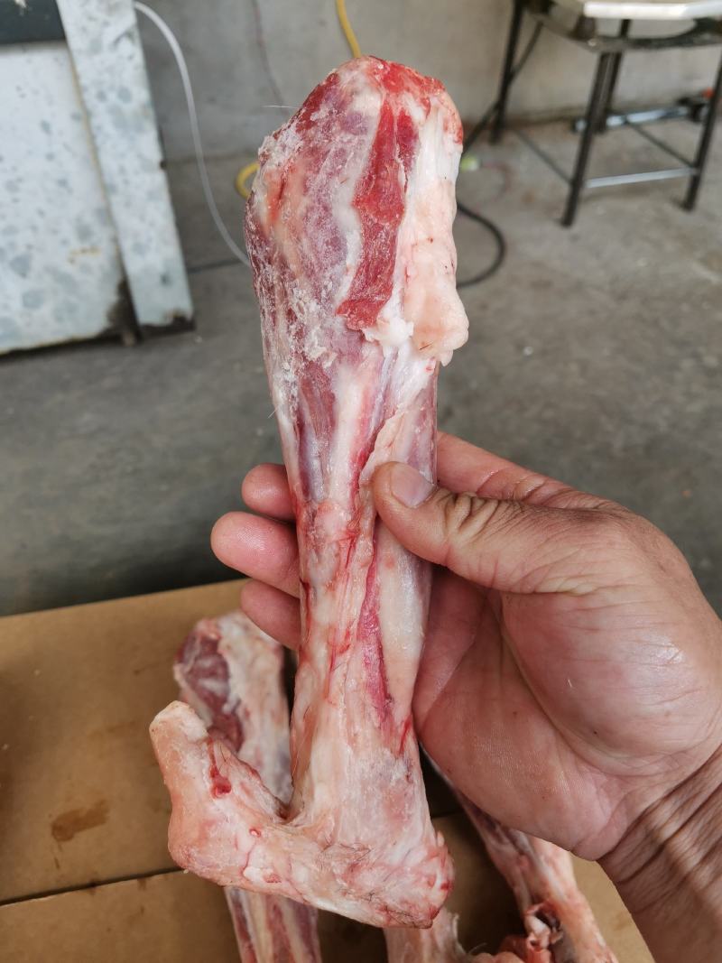 大家好，我是河北省河间市伊彬清真羊副产品，羔羊前后腱