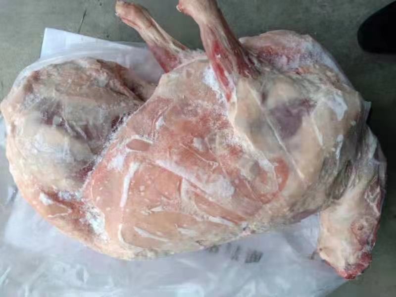 大家好我是河北省河间市伊彬清真羊副产品，烧烤羔羊全羊