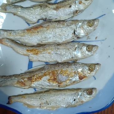 火焙鱼干，焦香酥脆新鲜原材，产地直发，一手货源，量大从优