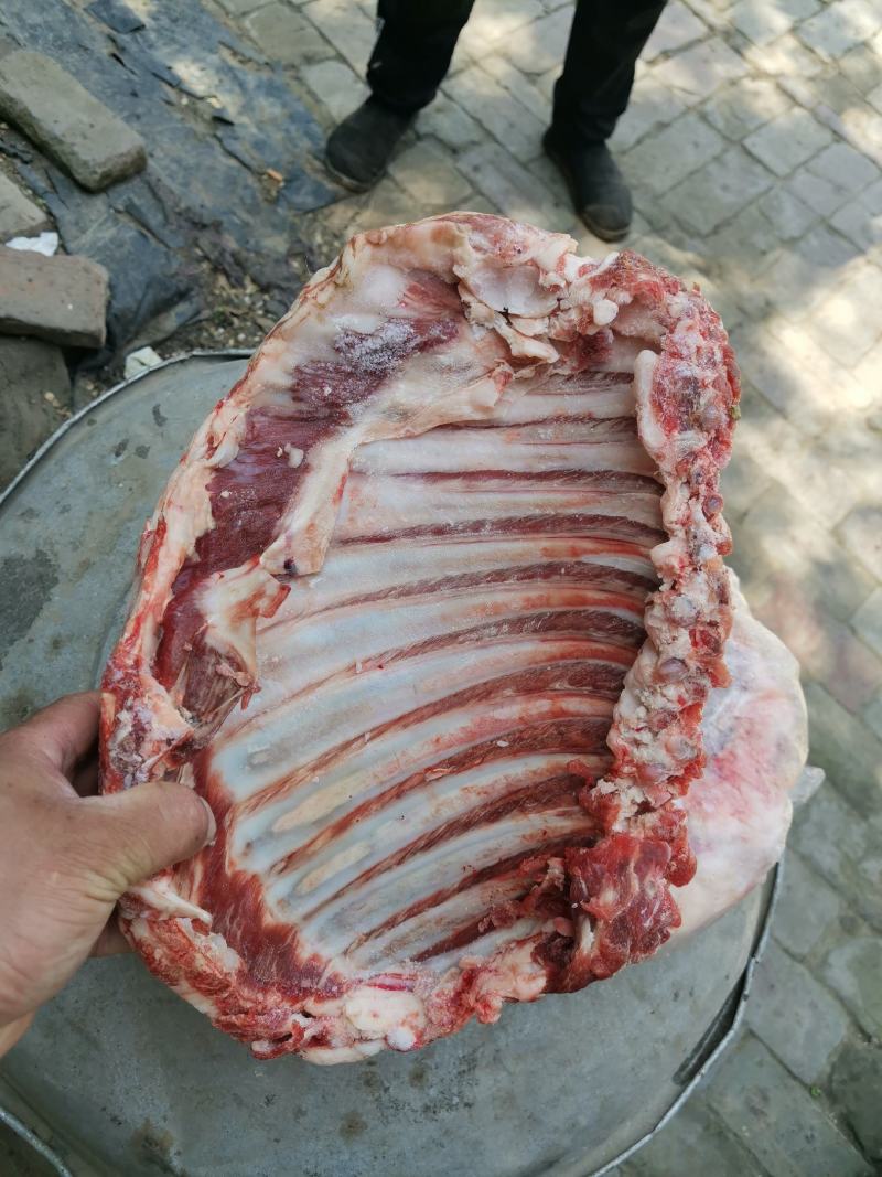 大家好我是河北省河间市伊彬清真羊副产品，羔羊排3到4斤
