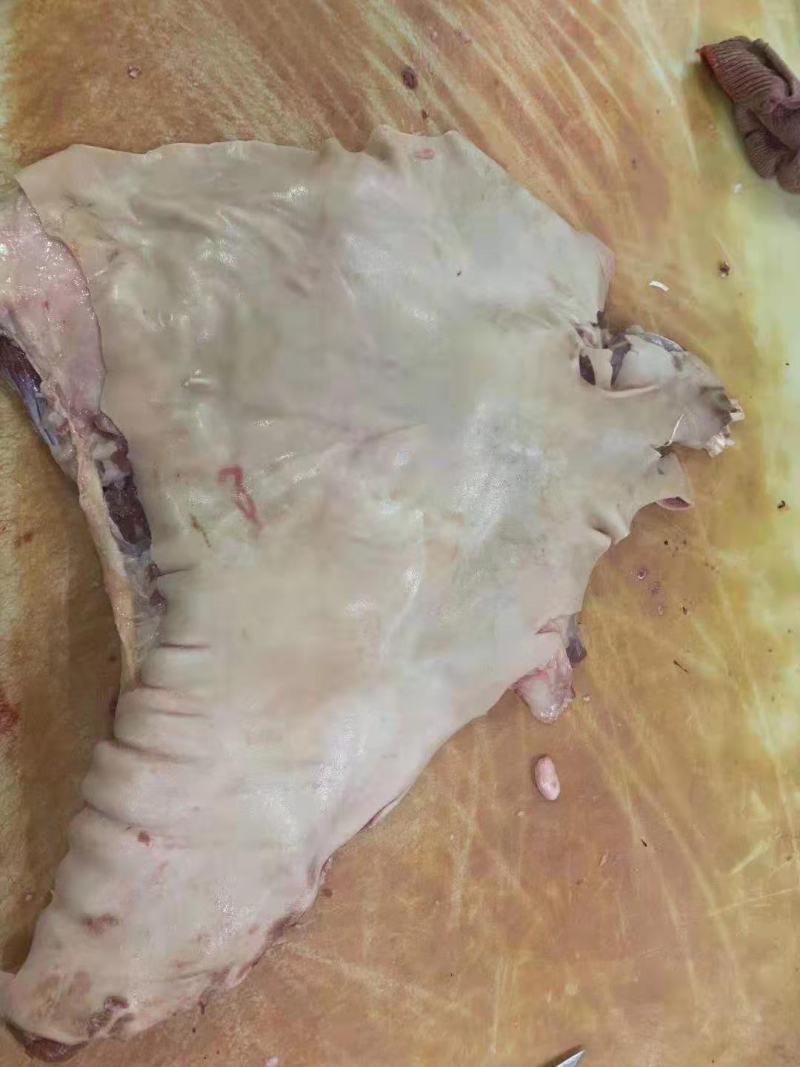 大家好我是河北省河间市伊彬清真羊副产品，带皮羊肉
