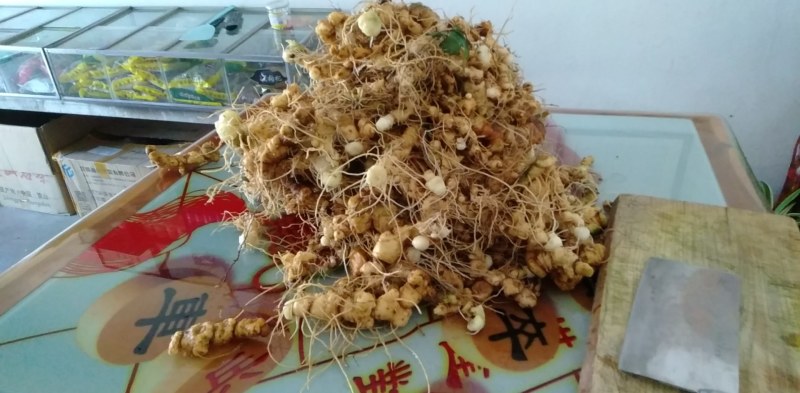 安徽南陵纯野生黄精