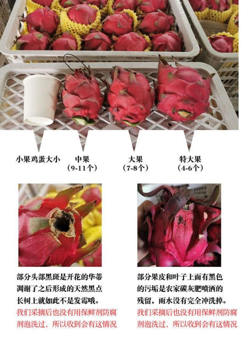 【一件代发】【包邮】红心火龙果高原当季新鲜水果整箱多规格