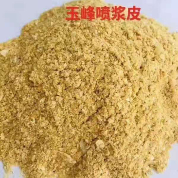 喷浆玉米皮厂家直销，现货供应，价格美丽。