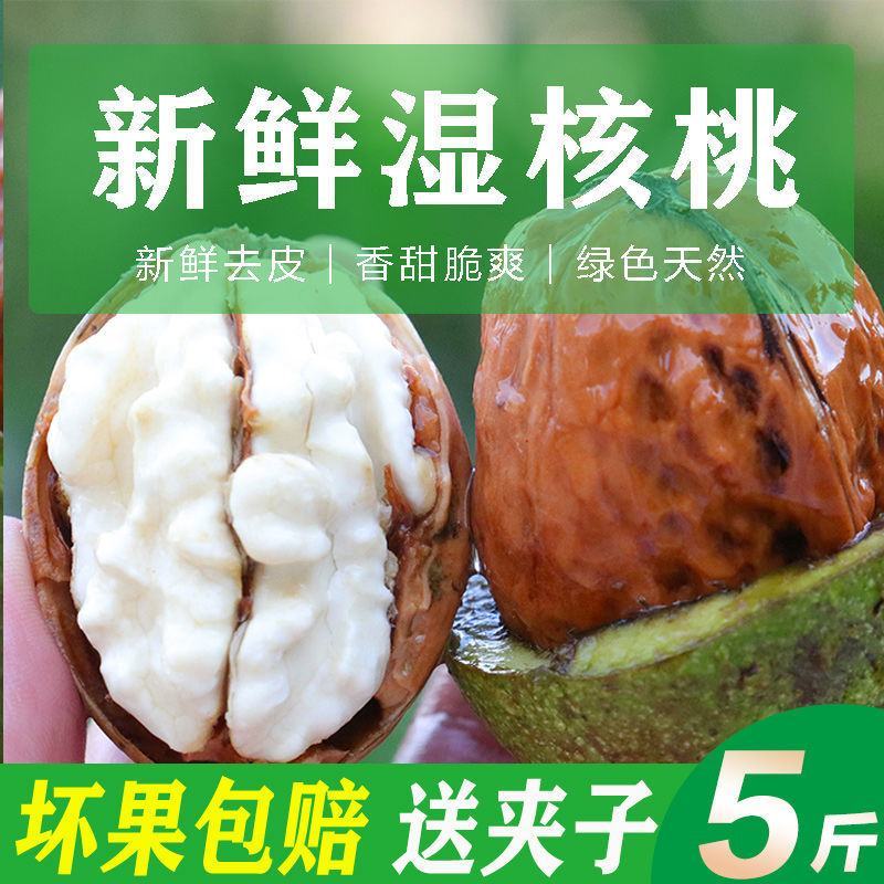 2022年新鲜青皮核桃湿核桃绿皮核桃支持全网一件代发