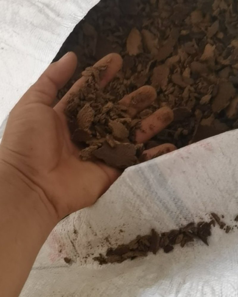 自榨菜籽饼黄饼，无水无油泥，干净无霉变