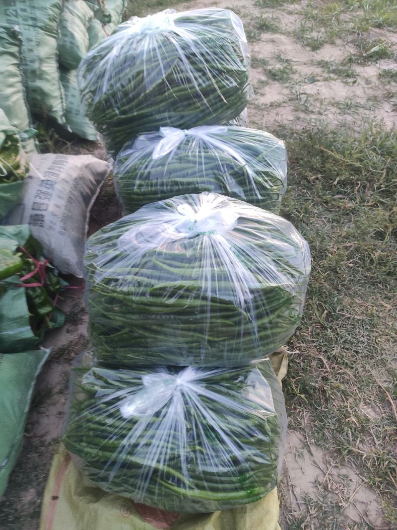 线椒，鲜辣椒，黑条线，青条线，顺直长，大量上市一手货源。