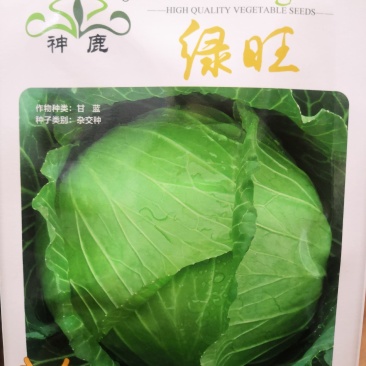 耐热高圆绿甘蓝种子耐裂球耐热神鹿甘蓝种子
