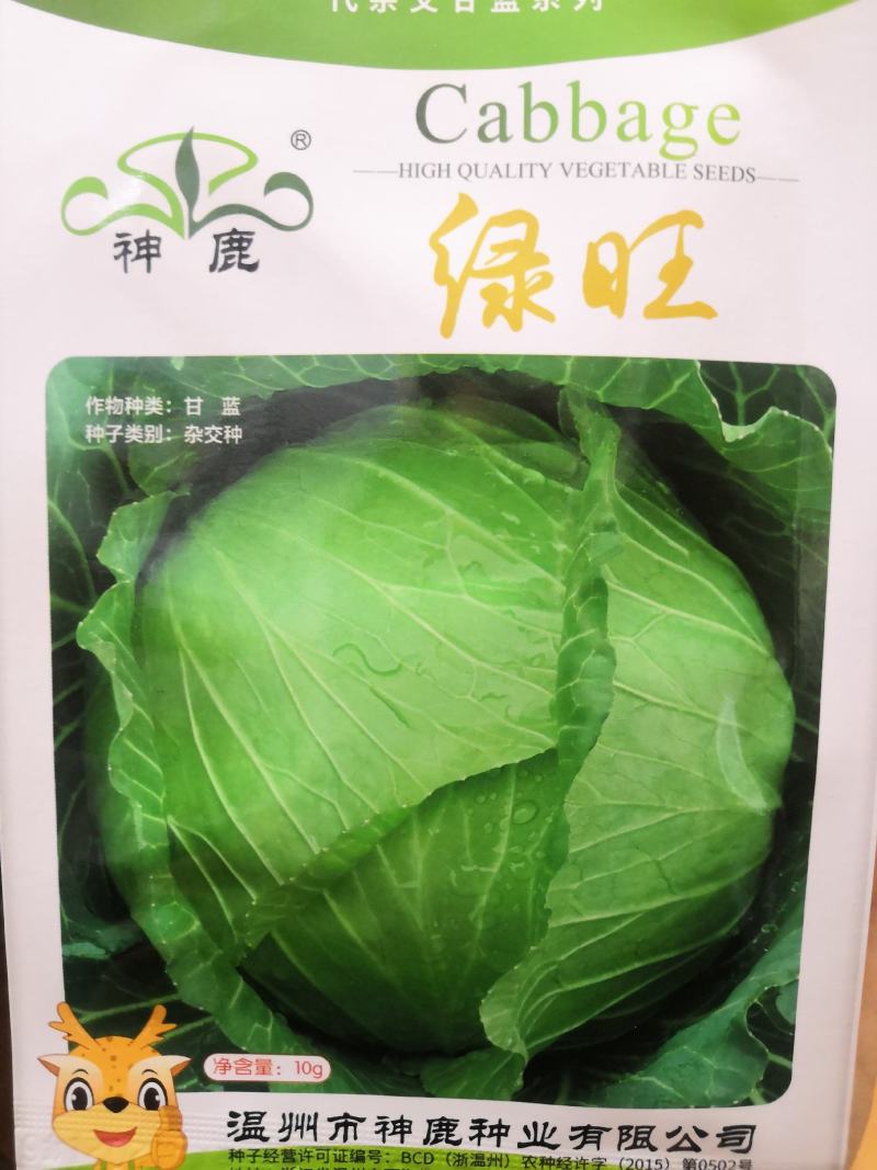 耐热高圆绿甘蓝种子耐裂球耐热神鹿甘蓝种子