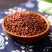 产地货源四川大凉山黑苦荞茶黄苦荞茶叶酒店饭店酒楼批发